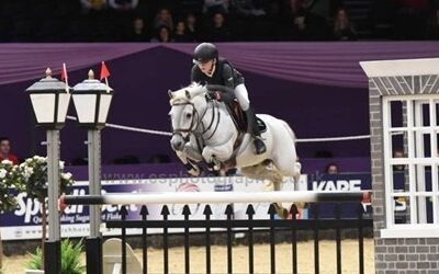 Role of Livery in Horse Training and Development